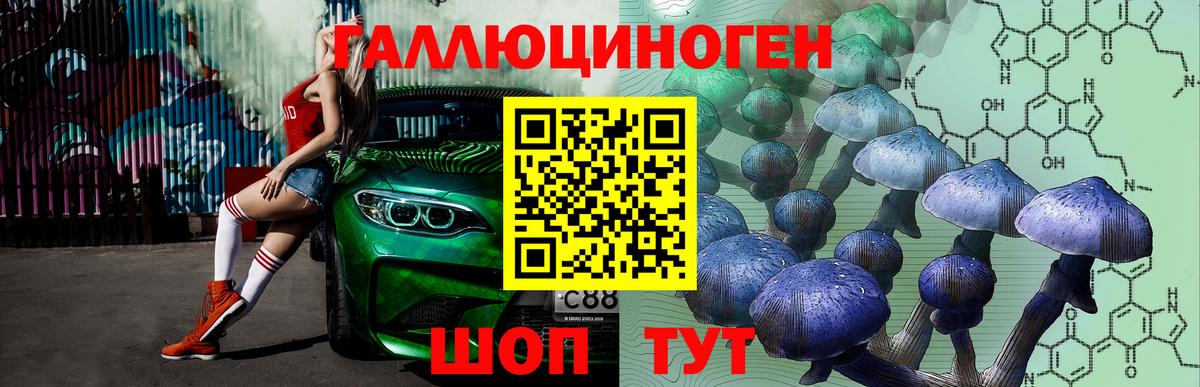Псилоцибиновые грибы Psilocybe  Псилоцибиновые грибы MAGIC MUSHROOMS  Советская Гавань  Вход с VPN 